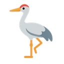 Kraanvogel